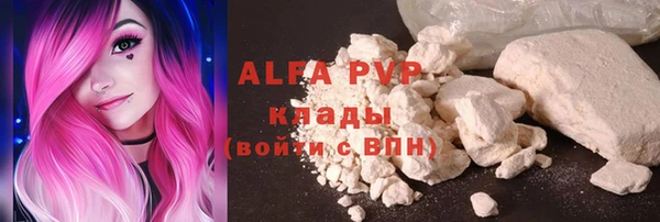 эйфоретик Гусев