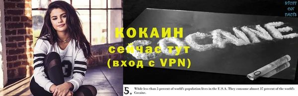 эйфоретик Гусев