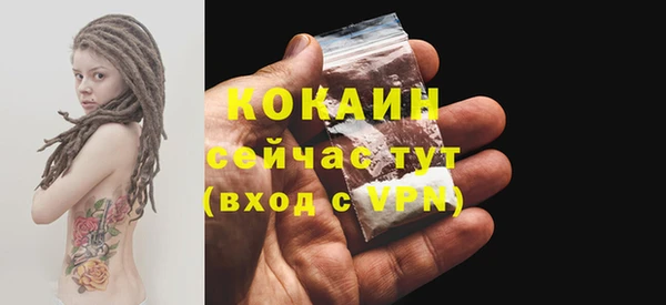 эйфоретик Гусев