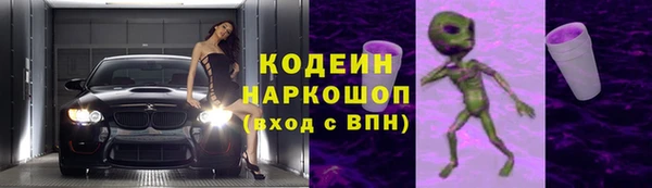 эйфоретик Гусев