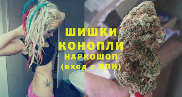 mix Гусиноозёрск