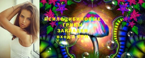 mix Гусиноозёрск