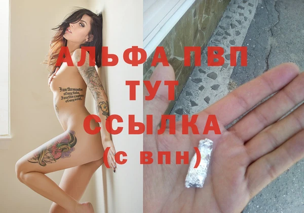 спиды Гусь-Хрустальный