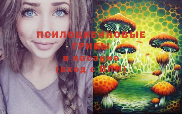 спиды Гусь-Хрустальный
