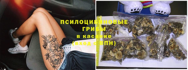 спиды Гусь-Хрустальный
